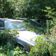 Illustration for article titled A Michigan Town Is Forcing This Man To Sell 20 Old Cars Off His Property Every Month